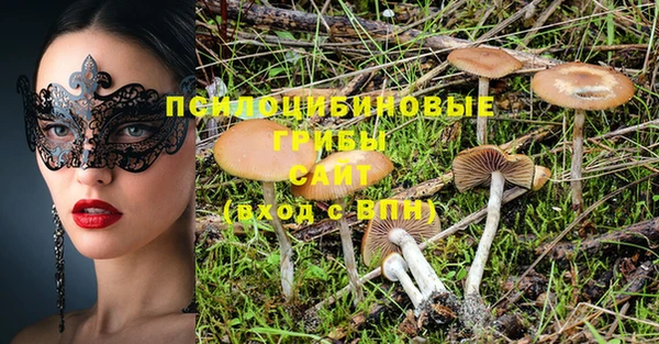 сатива Алексеевка