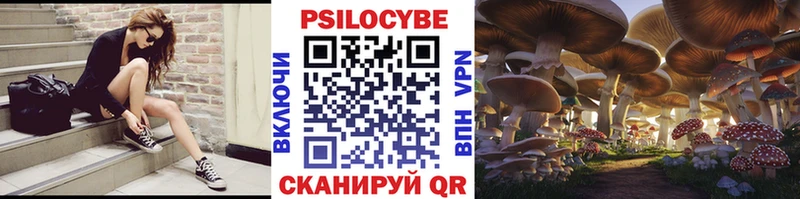 Галлюциногенные грибы Psilocybine cubensis  купить наркотик  Родники 